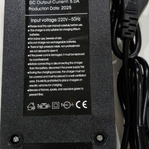 Battery Charger 60v Lifepo4 73v 5A Smart Charging Auto Cutoff